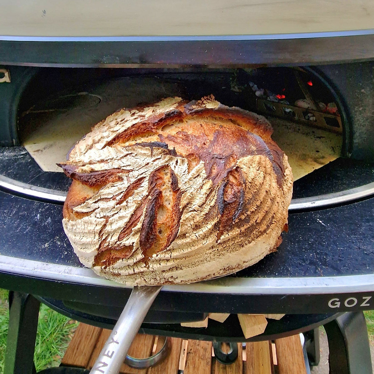 Gozney Dome Tür mit Dichtung - Grillstar.deGozney Dome Tür mit DichtungPizzaofenGozneyGrillstar.de