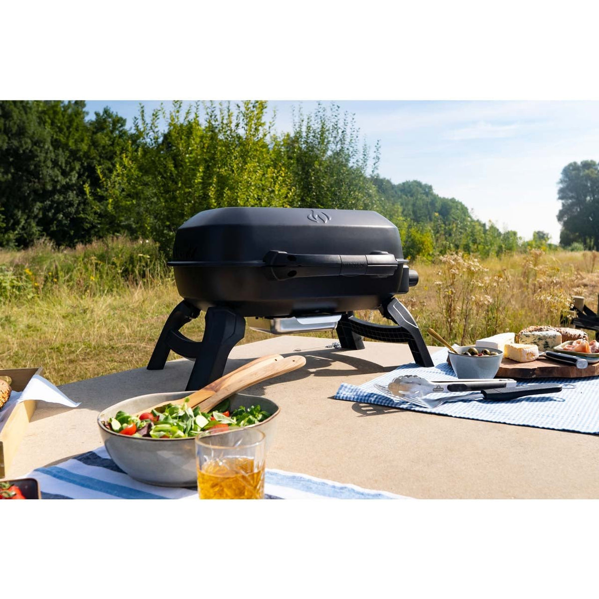 Napoleon TravelQ 240, Camping - Gasgrill, klappbar in schwarz - Grillstar.deNapoleon TravelQ 240, Camping - Gasgrill, klappbar in schwarzNapoleonGrillstar.deTQ240 - BK - DE0629162147882